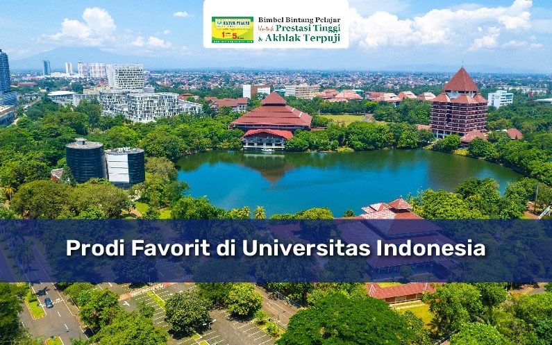 universitas indonesia