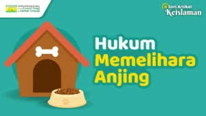 hukum memelihara anjing